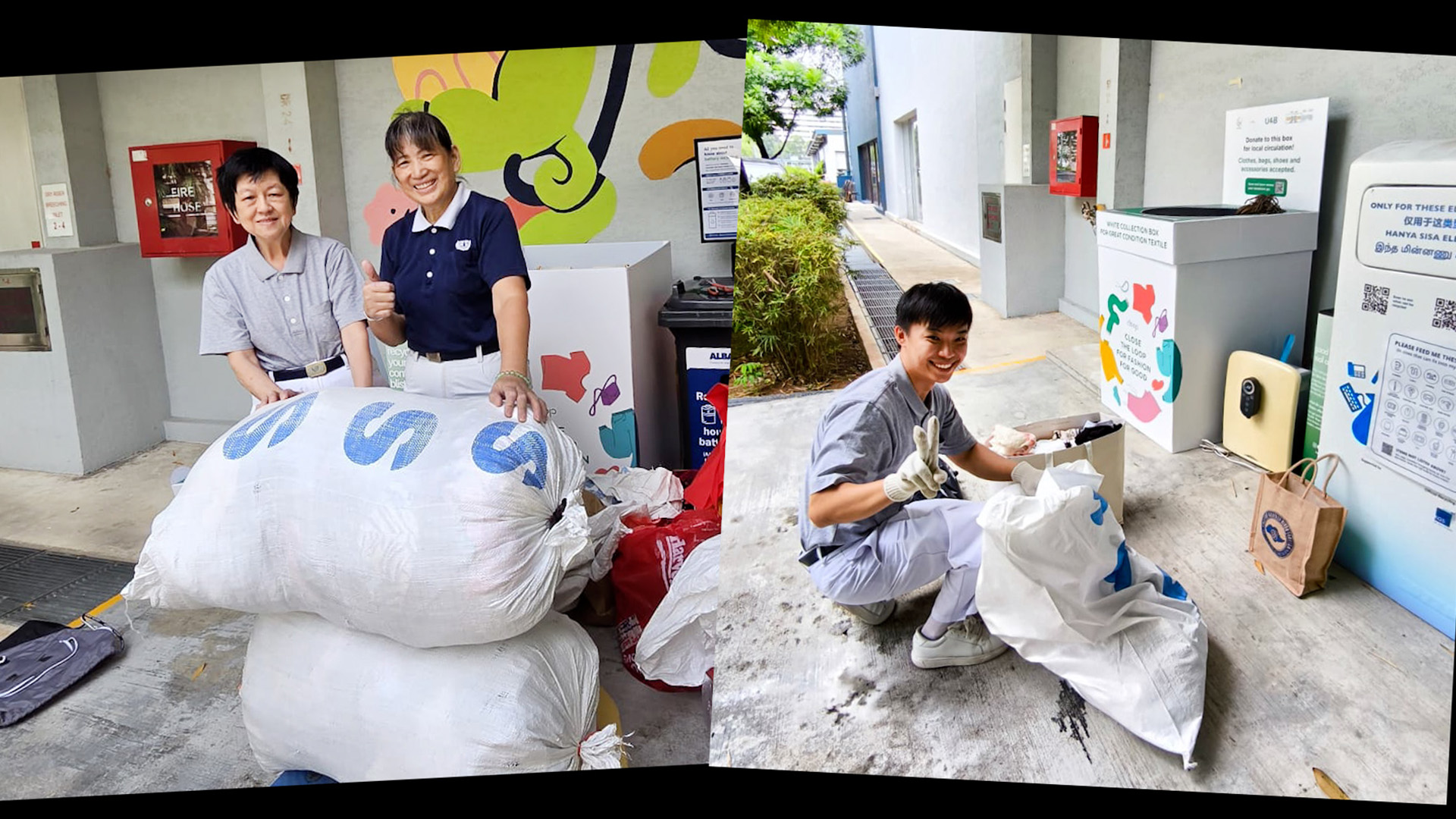 Everyday Rubbish Hides Surprising Treasures